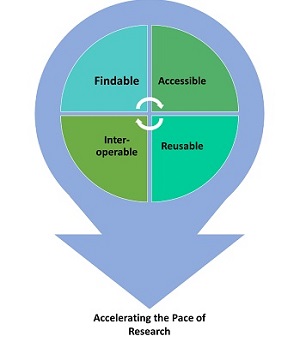 Graphich of a circle with four quadrants (findable, accessible, inter-operable, and reusable) that turns into an arrow pointing to "accelerating the pace of research"