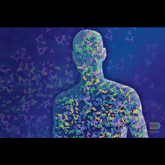 silhouette of person with a microbiome inside