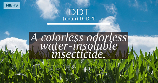 DDT definition