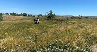 Elaine El Hayek, Ph.D., and Sara Plaggemeyer collecting plant samples during the field trip to Crow Nation, Montana.