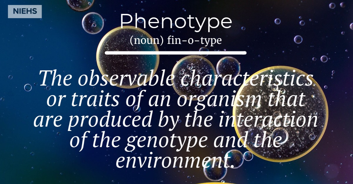 Phenotype definition