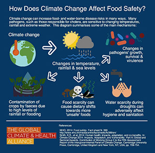 Infographic displaying climate change effects on food safety