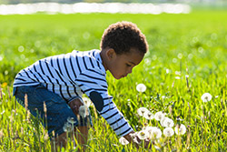 little boy picking flowers in a green field