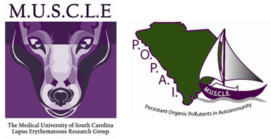 M.U.S.C.L.E and P.O.P.A.I logos