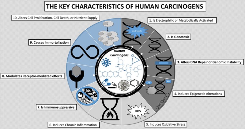 Key Characteristics of Human Carcinogens