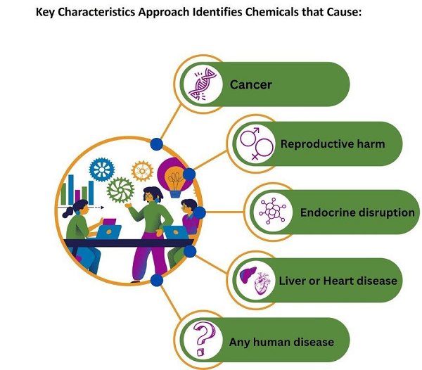 Key characteristics approach identifies chemicals that cause: cancer, reproductive harm, endocrine disruption, liver or heart disease, or any human disease.