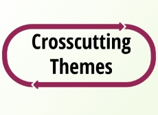 Crosscutting Themes