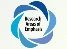 Research Areas of Emphasis