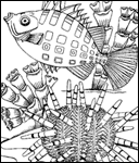 Fish Swim Through a Watery World