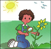 Sharon Finds the Environment