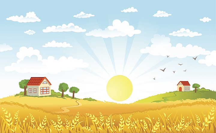 golden field with sun in the background