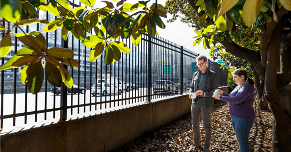 Researchers work near a fence separating vegetation from a highway.
