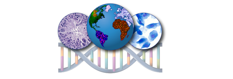 globe, DNA and toxicology slides