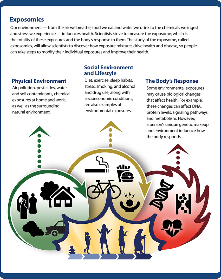 Infographics for Exposomics featuring Physical Environment, Social Environment and Lifestyle, and The Body's Response