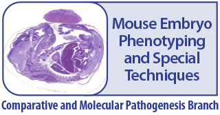 Mouse Embryo Phenotyping and Special Techniques - Comparative and Molecular Pathogenesis Branch