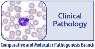 clinical pathology