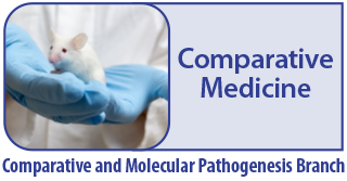 Comparative Medicine - Comparative and Molecular Pathogenesis Branch