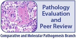Pathology Evaluation and Peer Review - Comparative and Molecular Pathogenesis Branch