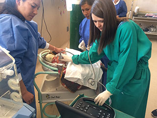 Crocker using an ultrasound