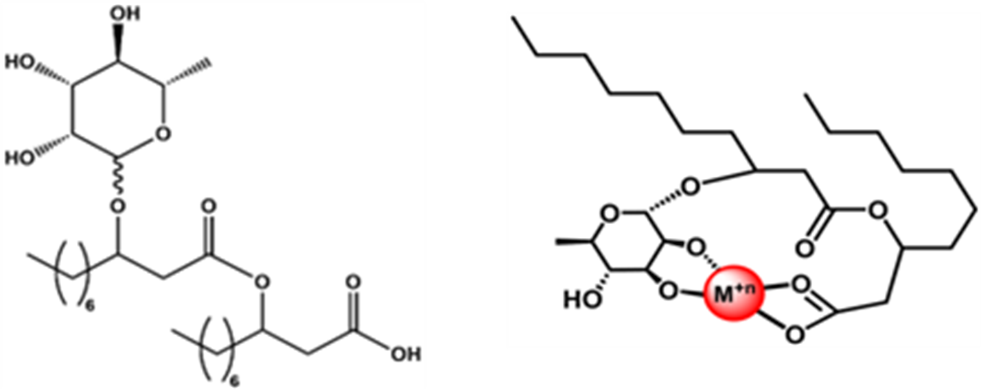 Molecular structure of a rhamnolipid