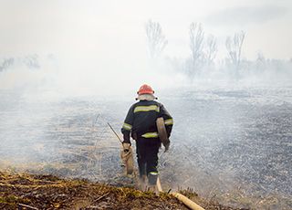 firefighter walking through a smoking forest