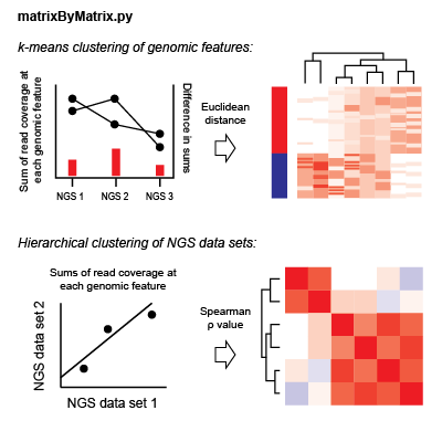 Using matrices generated in the data intersection step, ORIO then performs correlative analysis based on compiled read coverage values.