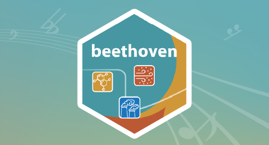 Beethoven Software