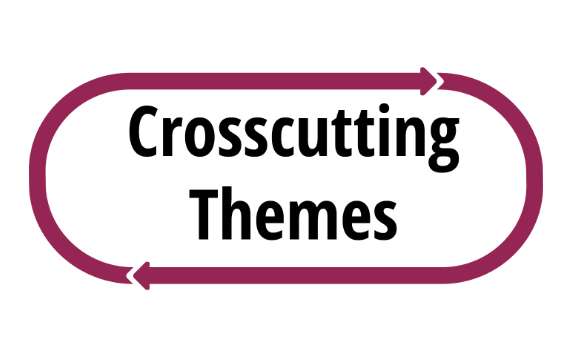 Crosscutting Themes