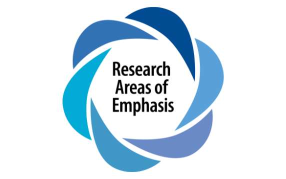 Research Areas of Emphasis