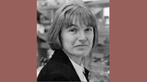 Headshot of Karen Wetterhahn