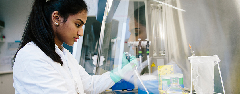 Summer Internship Program