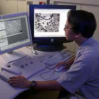 Undergraduate Senior - 'I had a chance to work independently and assemble most of my work into a poster and hopefully a future publication. The research experience obtained here is crucial in developing skills involving independent study, analysis data, and publishing of data and conclusions from work performed.'