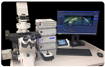 microscop on desk with computer screen