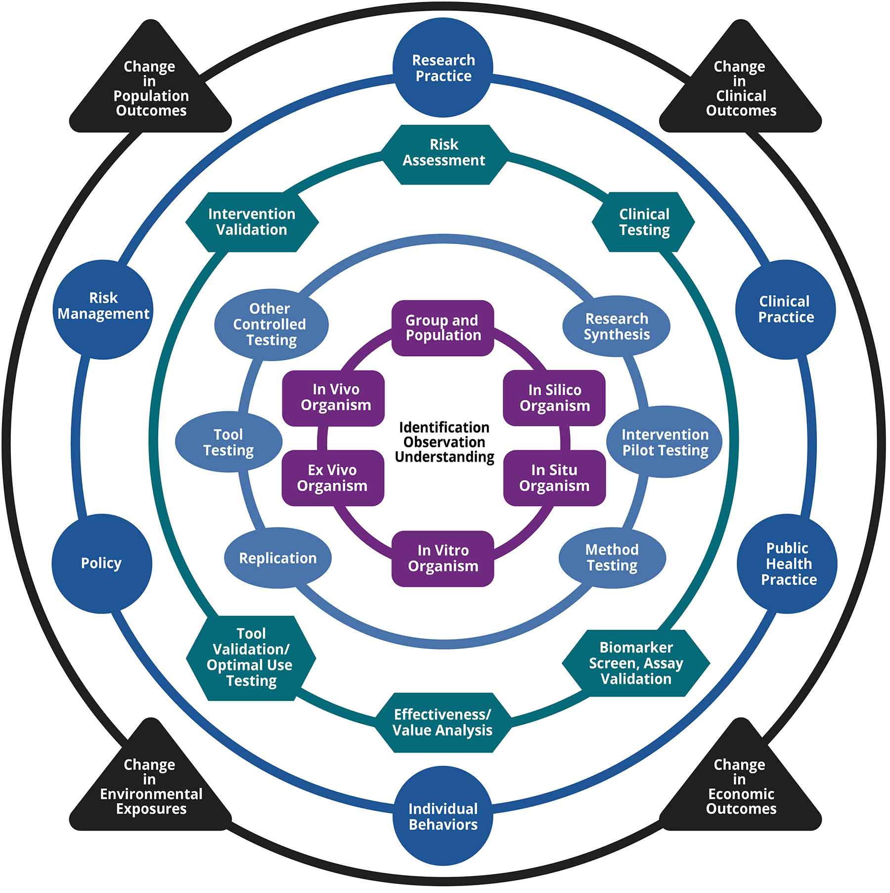 The Full Translational Research Framework represents five categories of translational research in concentric rings