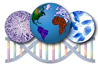 globe, dna helix and toxicology slides