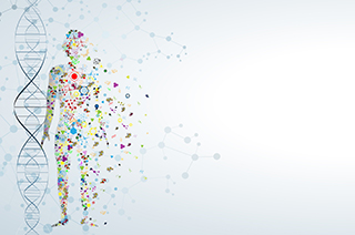 DNA/human abstract