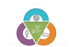 mouse, human, and cell circling a hand holding a plant