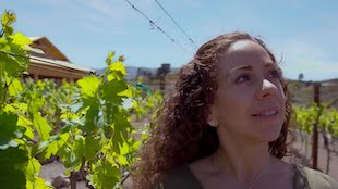 Ramierz-Androetta walking in a field