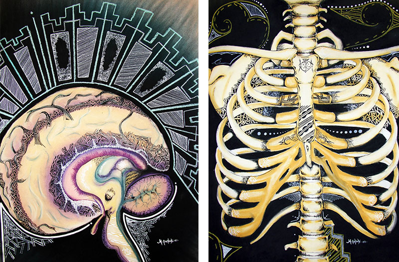 Chalk pastel by Mallery Quetawki: Brain (left) and Skeletal System (right)