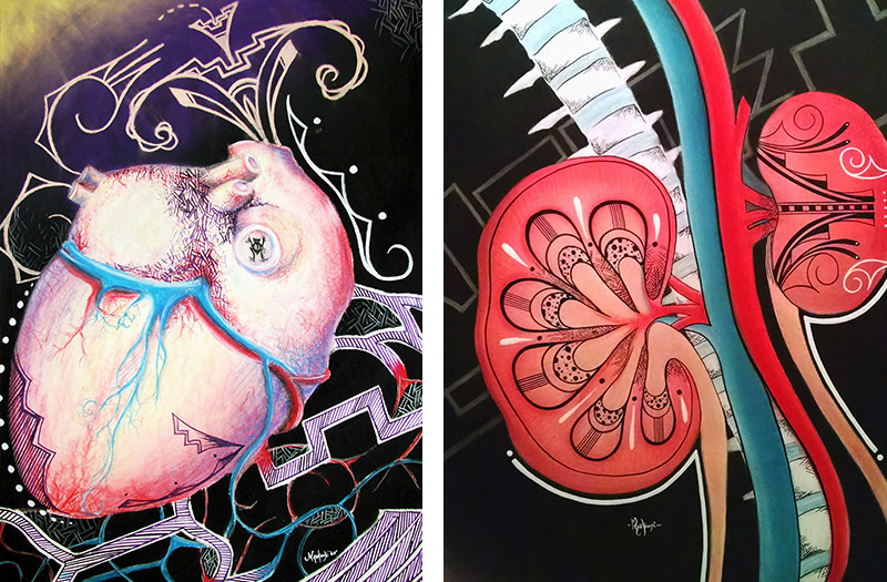Chalk pastel by Mallery Quetawki: Heart (left) and Kidney (right)