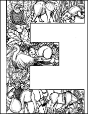 jungle animals and letter E for environment