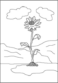 flower growing out of the ground