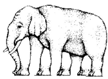Image of an elephant