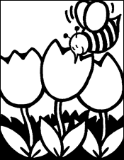 Bees at Cross Purposes