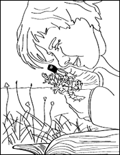 Researching Plant