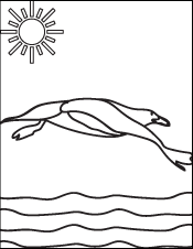 Coloring Book Page - A Drawing of a Seagull Flying over the Ocean