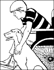 a service dog helping a boy in a wheel chair