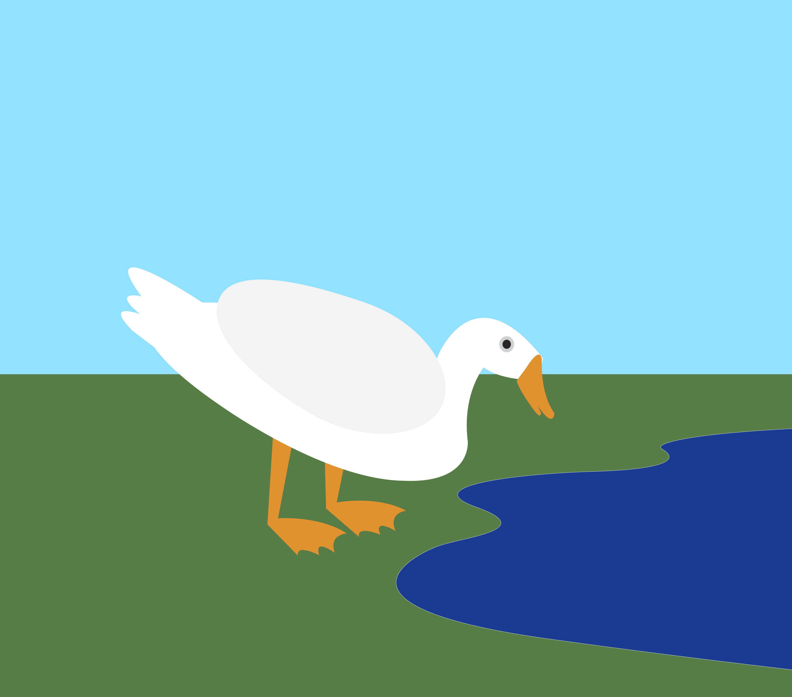 white duck