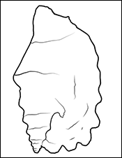 Strombus Sinutaus - Two shells coloring image