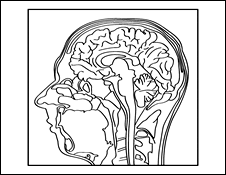 The inside of a man's head, as seen through an fMRI machine by scientists
